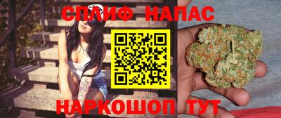 сатива Кулебаки