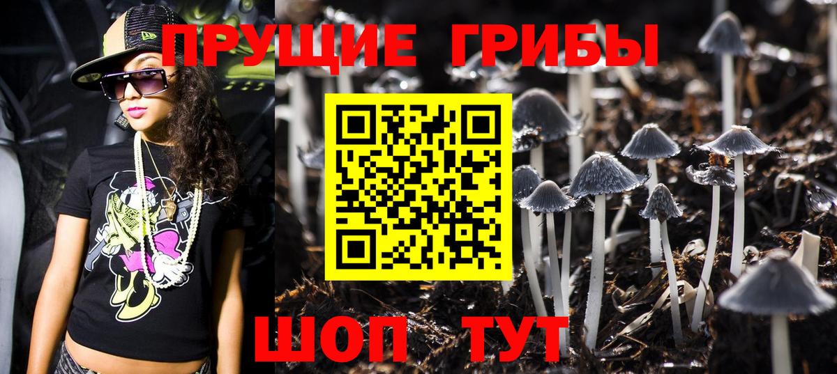 Галлюциногенные грибы прущие грибы  Псилоцибиновые грибы Psilocybine cubensis  Железногорск  Вход с VPN 